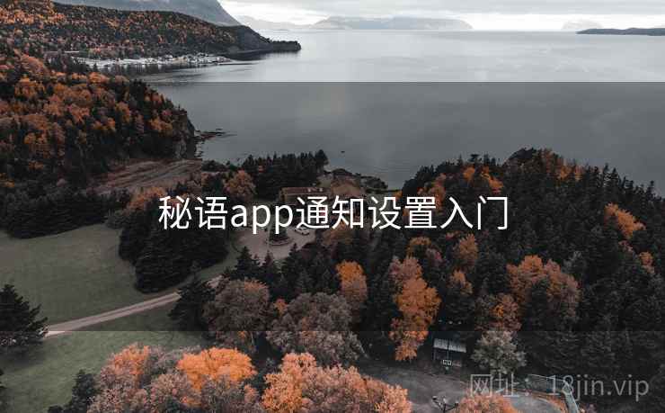 秘语app通知设置入门