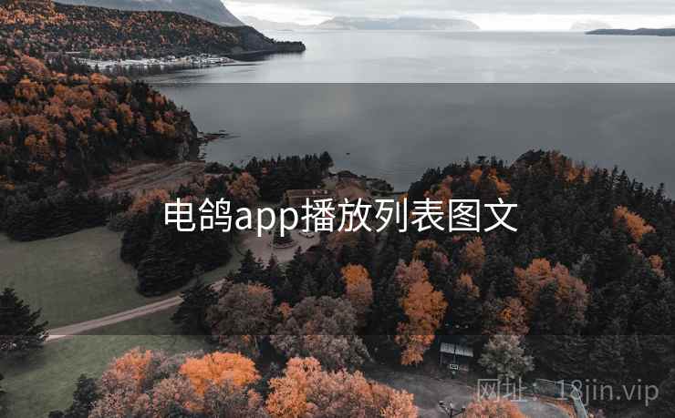 电鸽app播放列表图文