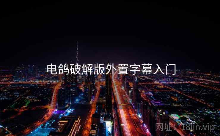 电鸽破解版外置字幕入门