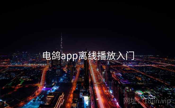 电鸽app离线播放入门