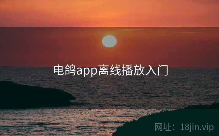 电鸽app离线播放入门