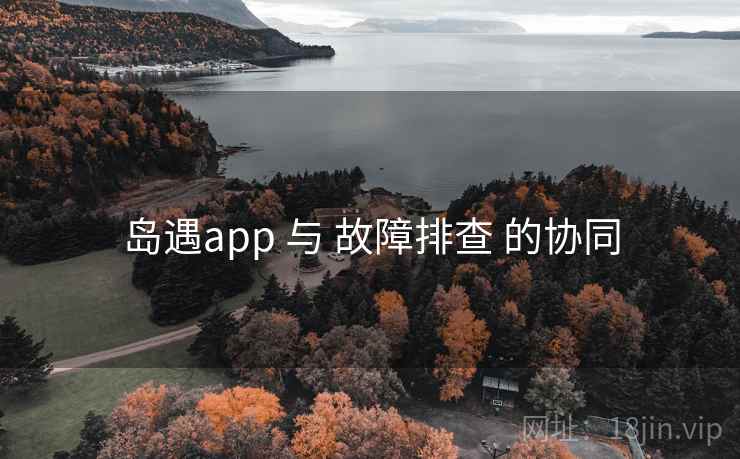 岛遇app 与 故障排查 的协同