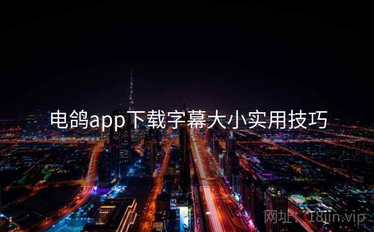 电鸽app下载字幕大小实用技巧