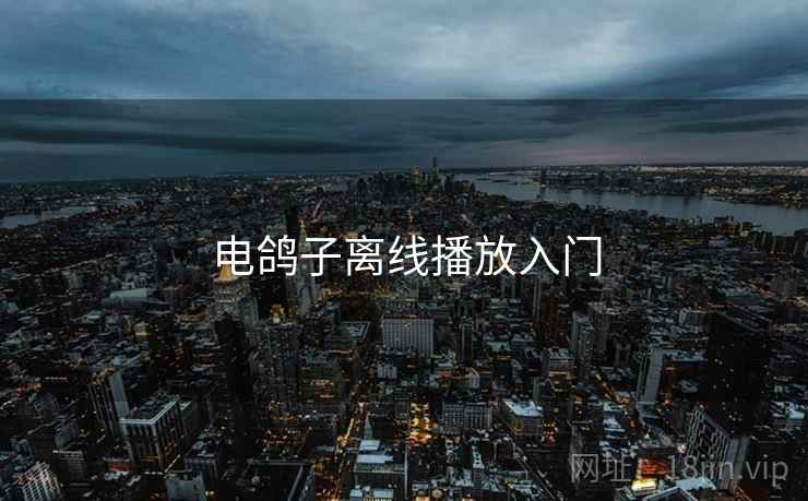 电鸽子离线播放入门